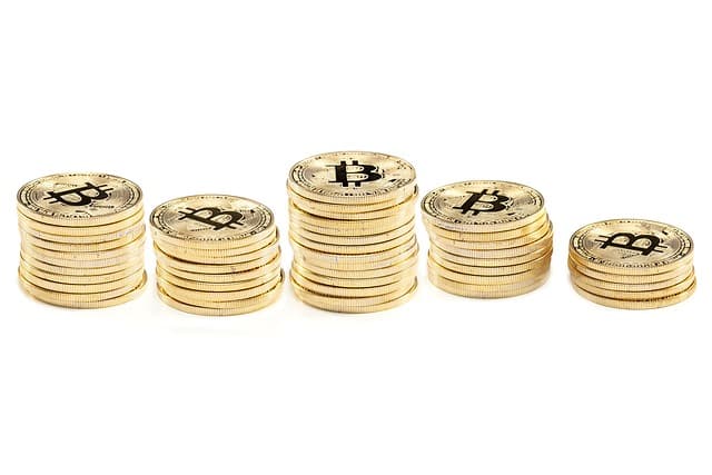 Why are Cat-Themed Memecoins Gaining Popularity?